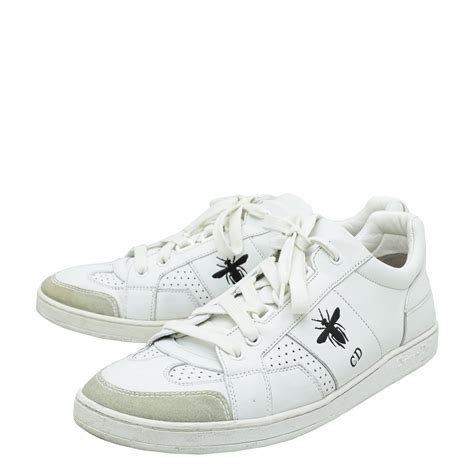 skater do canvas dior|dior house bee sneakers.